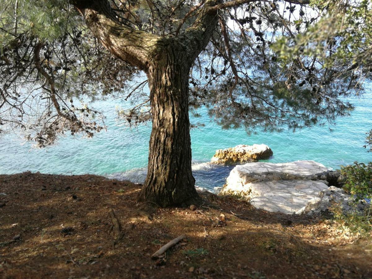 App Roko Appartement Poreč Buitenkant foto